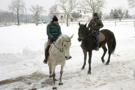 Oddaja Dobro jutro v Občini Hrpelje-Kozina 70